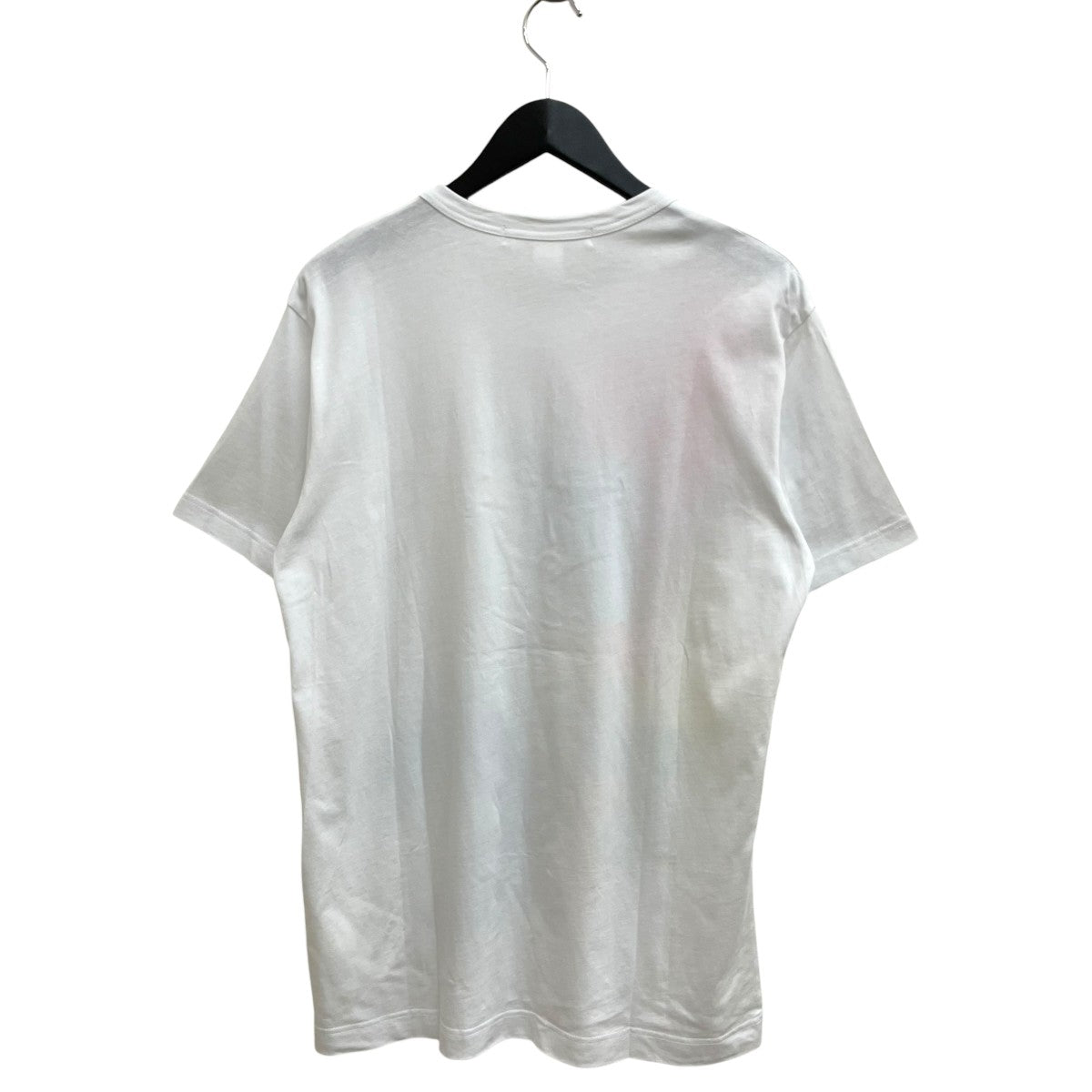 25AWcotton plain poplin with print digital print C t-shirt半袖TシャツFP-T002