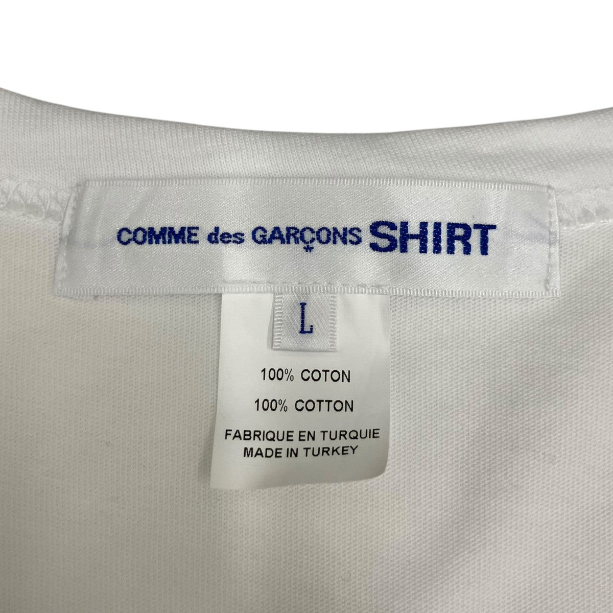 25AWcotton plain poplin with print digital print C t-shirt半袖TシャツFP-T002