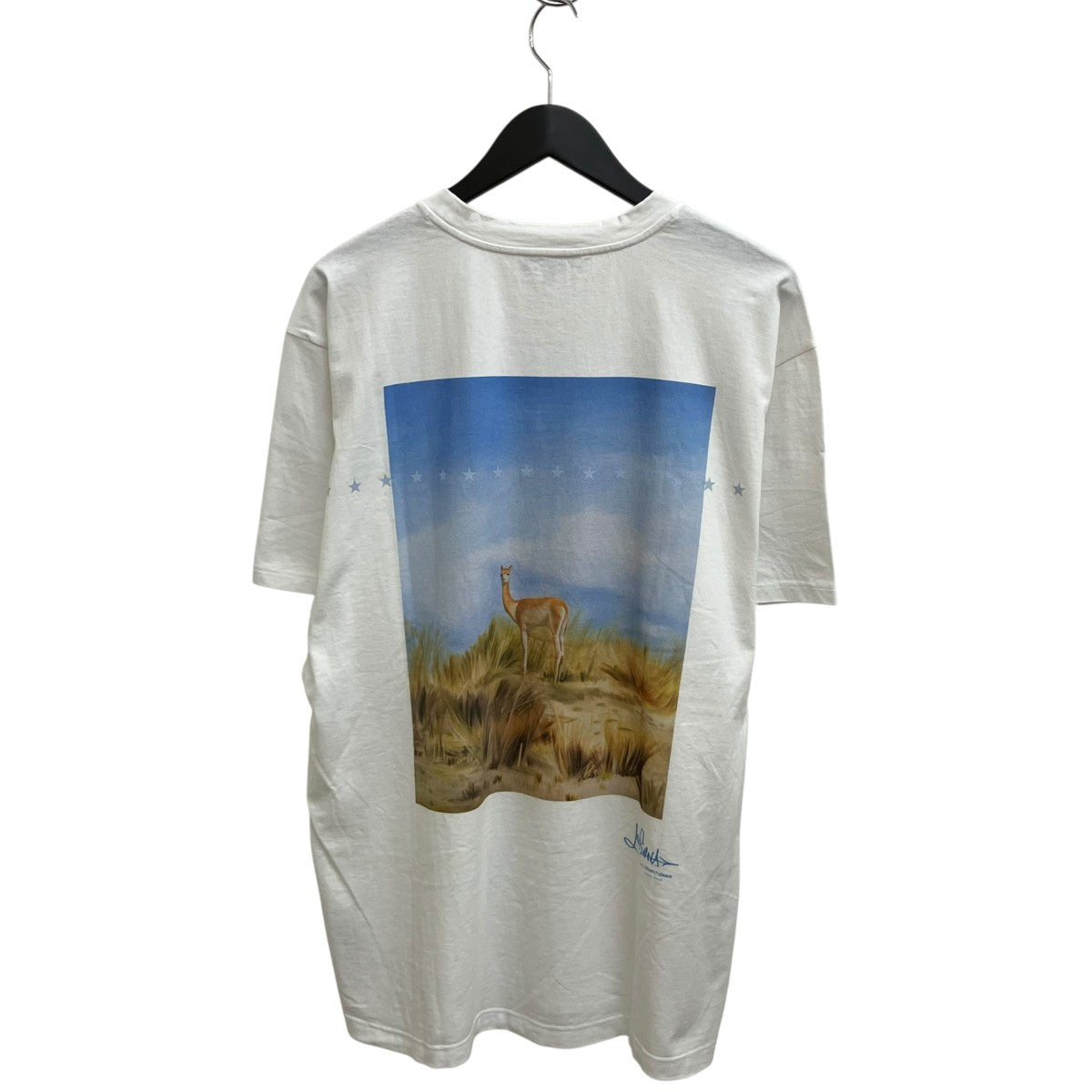 LORO PIANA×藤原ヒロシ 半袖TシャツFAM4722 古着・中古-2枚目のアイテム画像