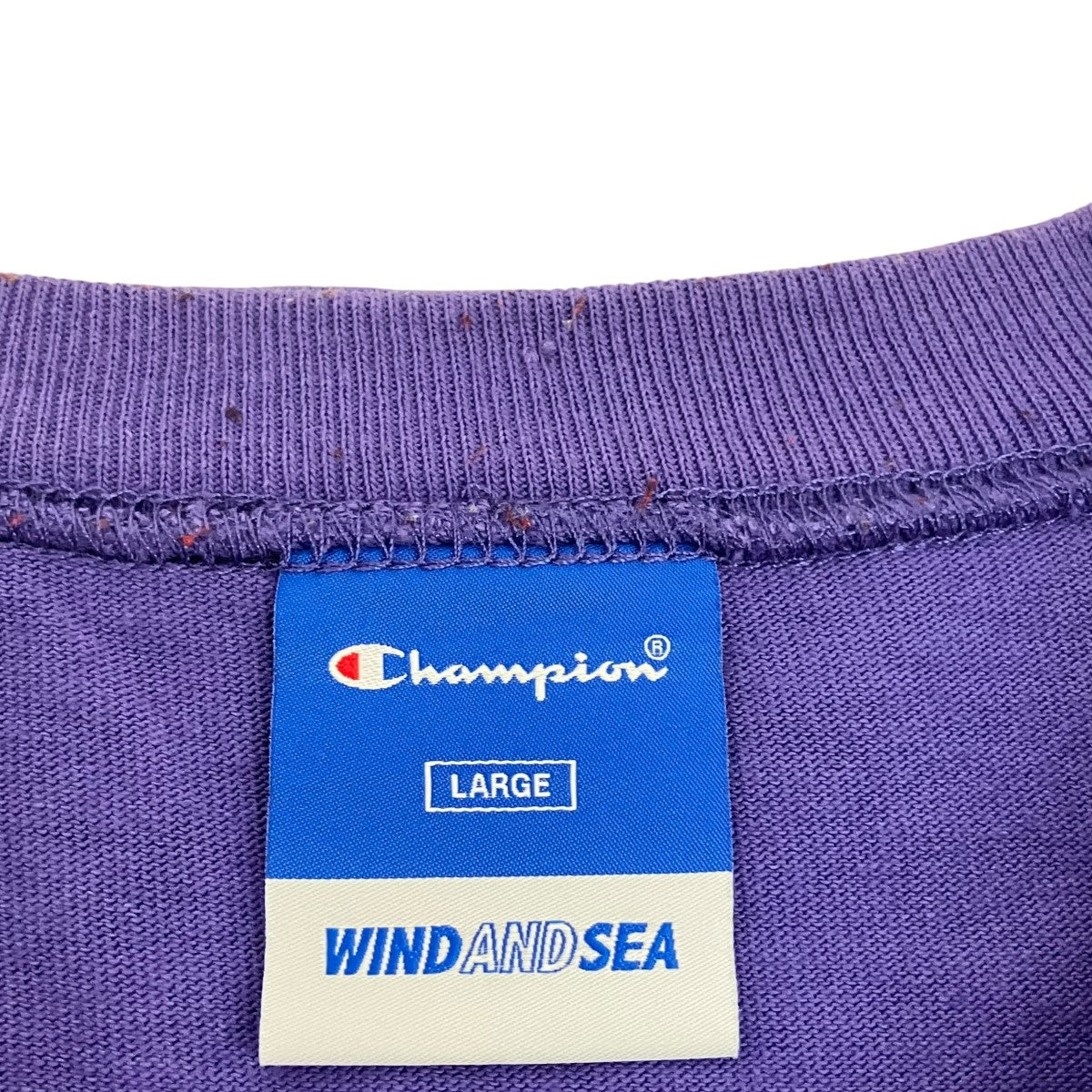 Champion×WIND AND SEA 半袖TシャツC8-Z355 古着・中古-6枚目のアイテム画像