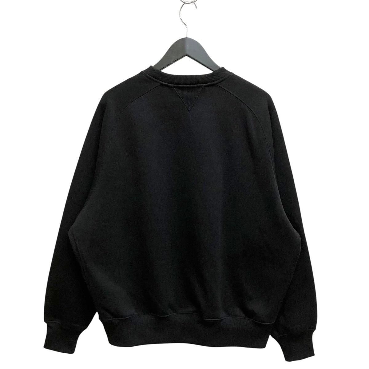 TECH SWEAT CREW FREEDOM SLEEVEスウェットBE-51024W