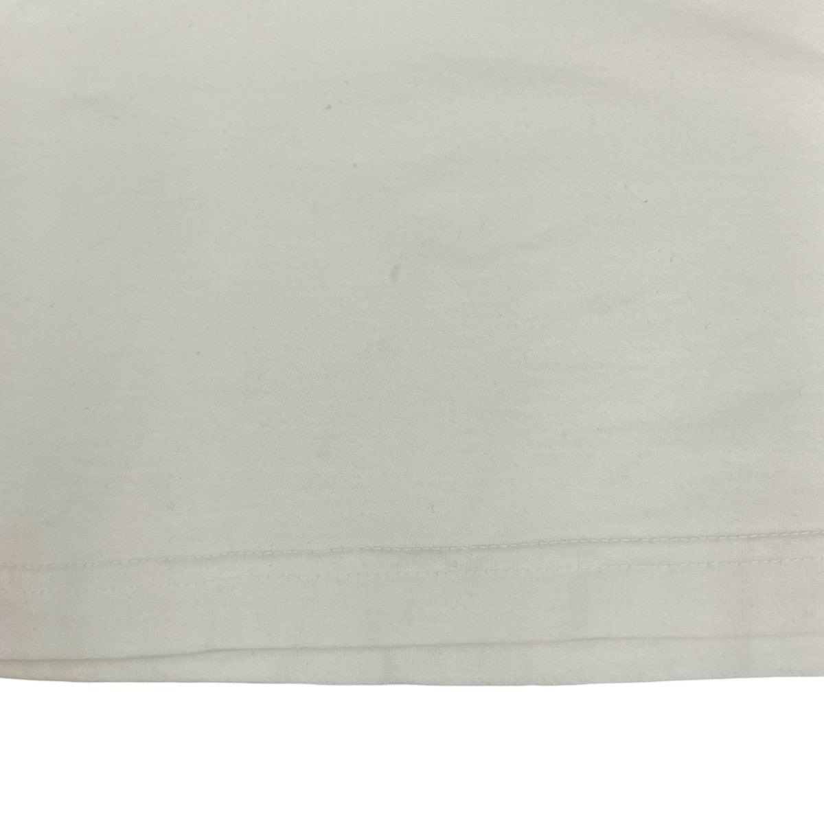 Patagonia 半袖Tシャツ 古着・中古-5枚目のアイテム画像