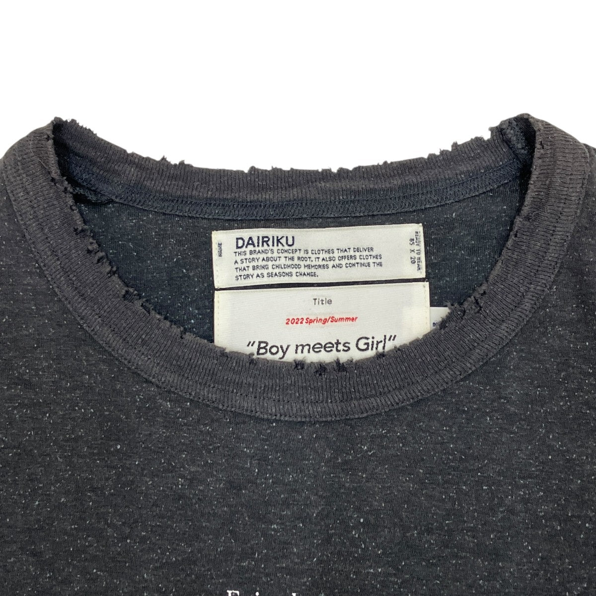DAIRIKU The Summer Tour Trim TeeTシャツ22SS C-8 古着・中古-5枚目のアイテム画像