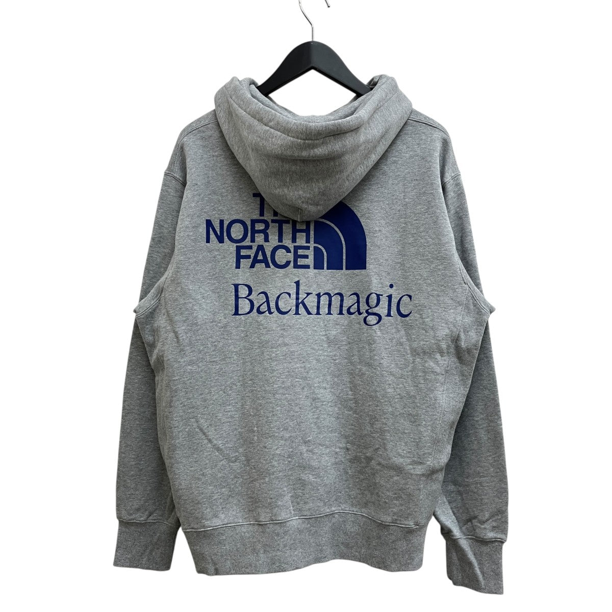 THE NORTH FACE Backmagic Hoodie NT12330R 古着・中古-2枚目のアイテム画像