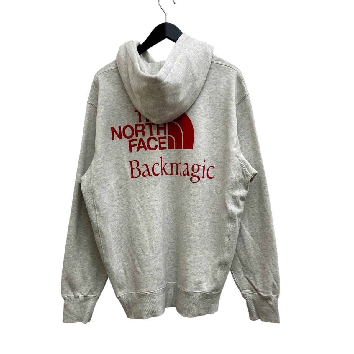 THE NORTH FACE(ザノースフェイス) Backmagic Hoodie NT12330R