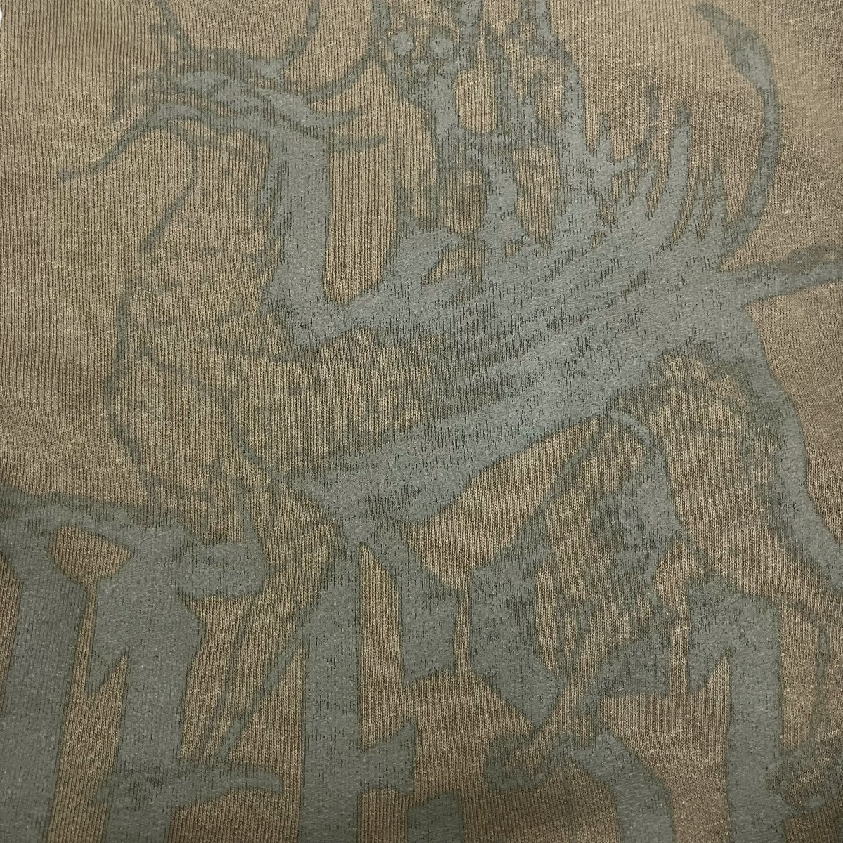 DIESEL 26SSTreated Hoodie With Griffin PrintパーカーA23805 古着・中古-4枚目のアイテム画像