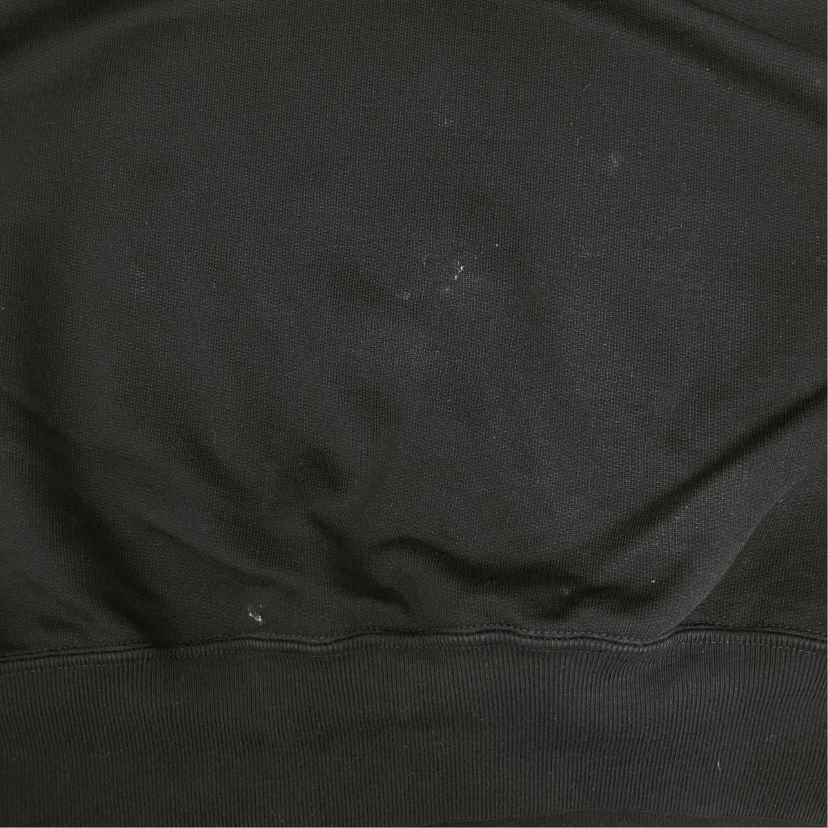 20SSSUPER SOFT SWEAT BIG P OスウェットA20SP02GU