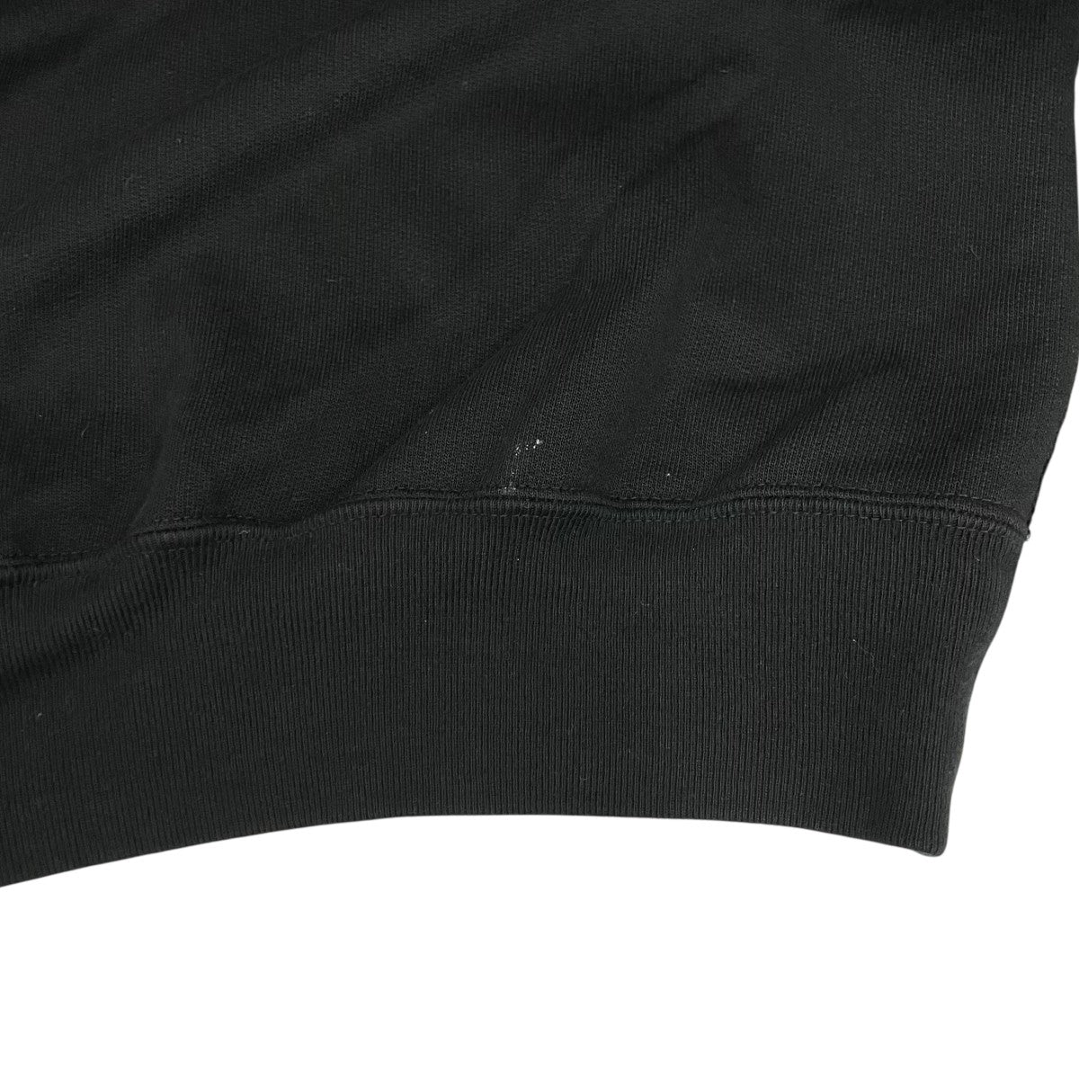 20SSSUPER SOFT SWEAT BIG P OスウェットA20SP02GU