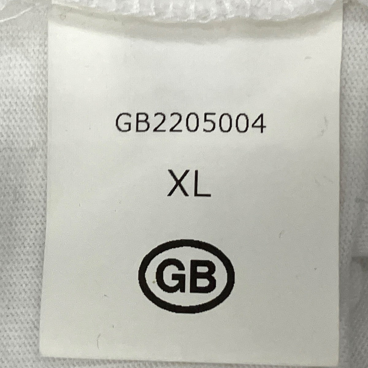 ×藤井フミヤTシャツGB2205004