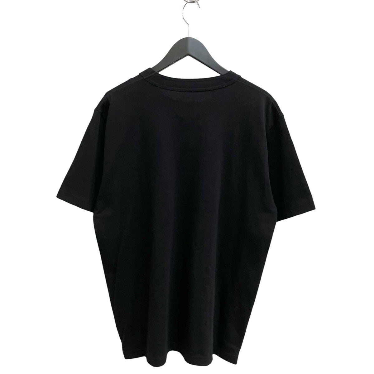 Carhartt WIP T-Shirt半袖Tシャツ24-0725S