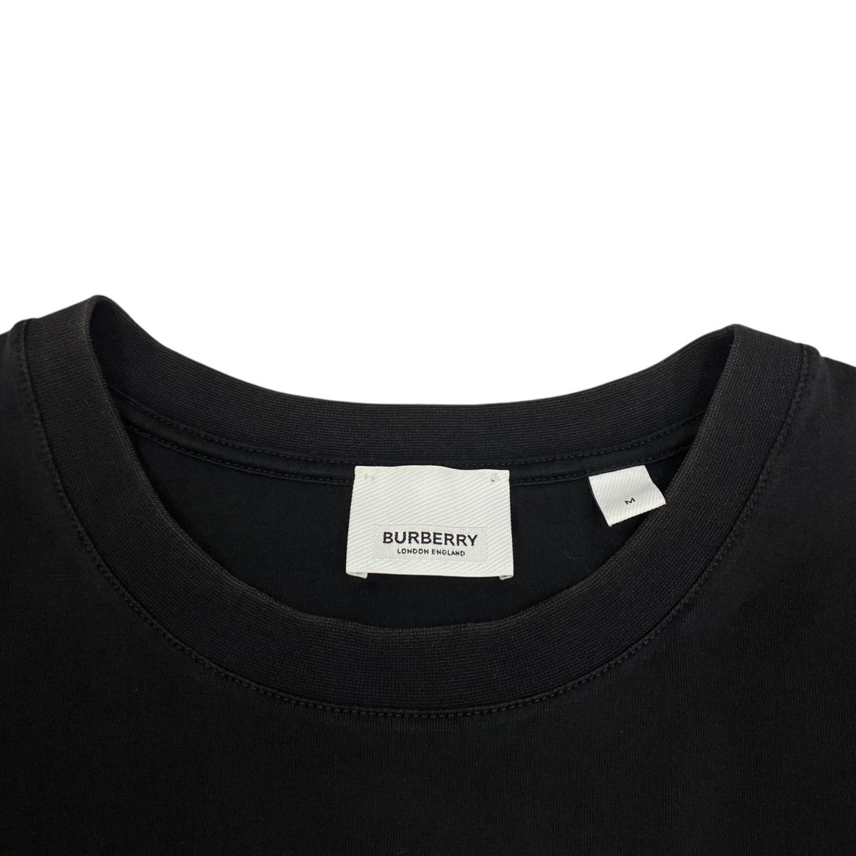 Tシャツ8017224