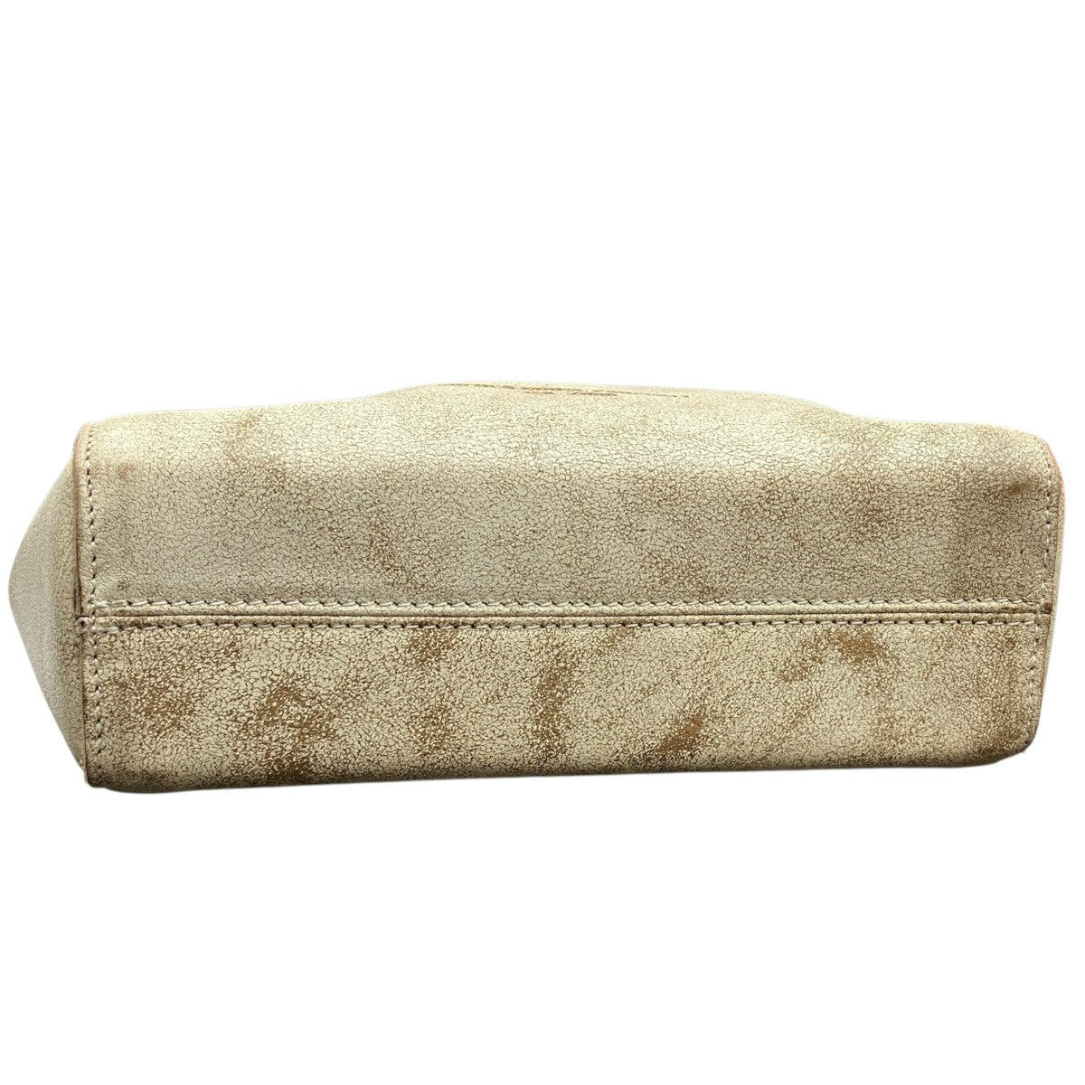 Mini California Golden Goose Property Bag2WAYバッグGWA00351.A000504.10318