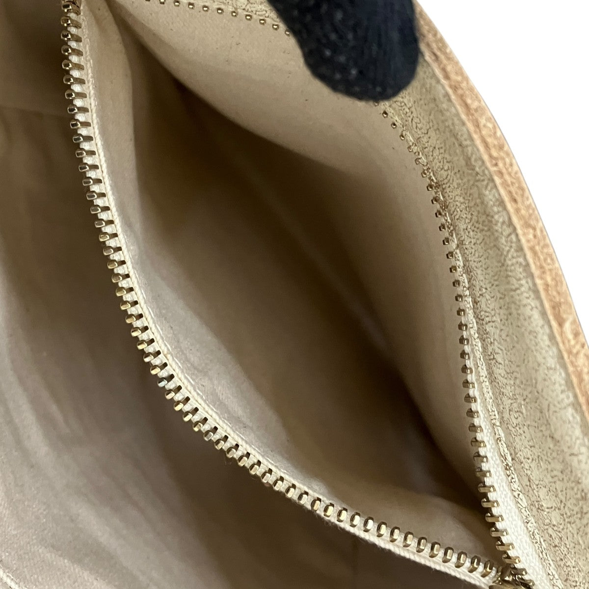 Mini California Golden Goose Property Bag2WAYバッグGWA00351.A000504.10318