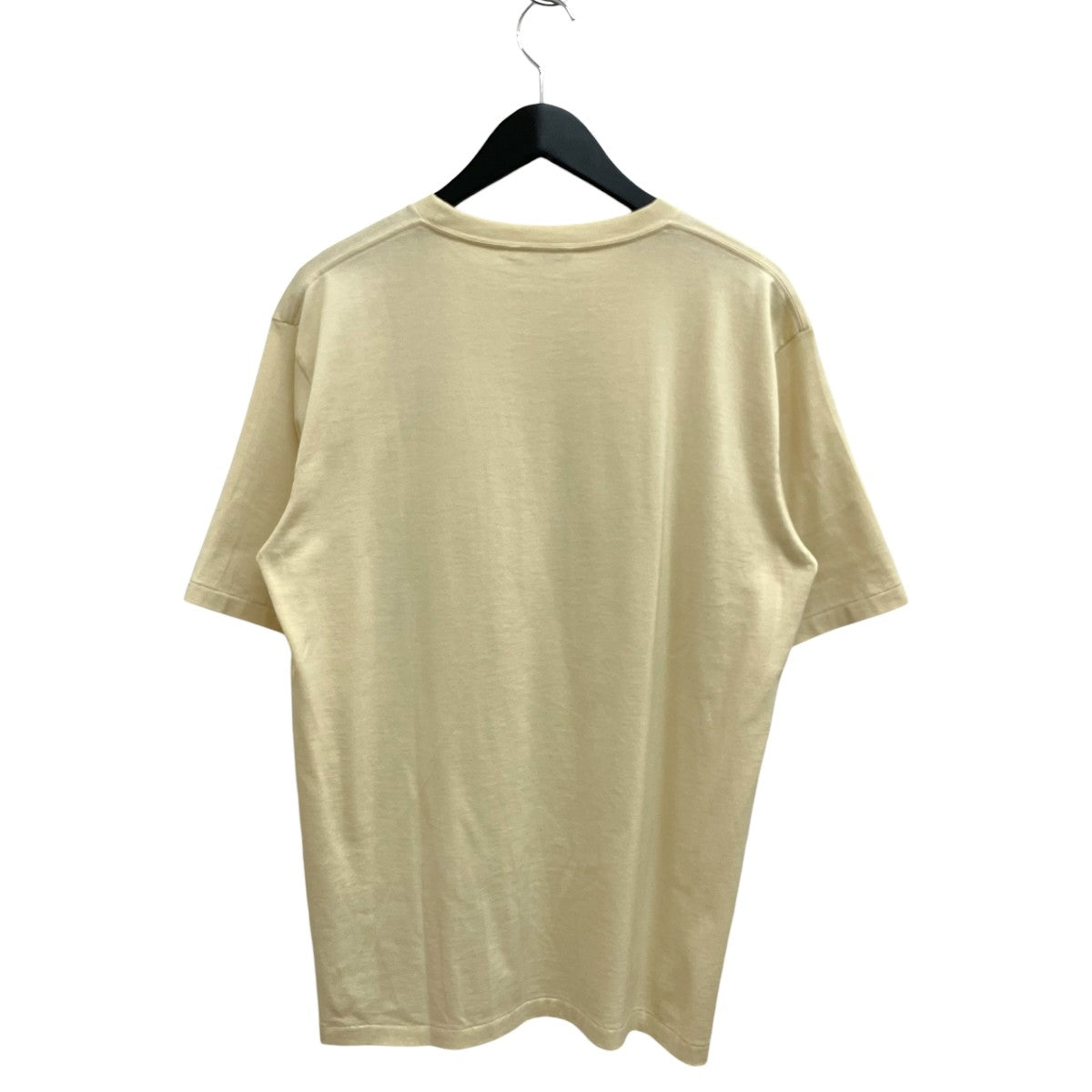 LUSTER PLAITING TEE半袖カットソーA00P02GT