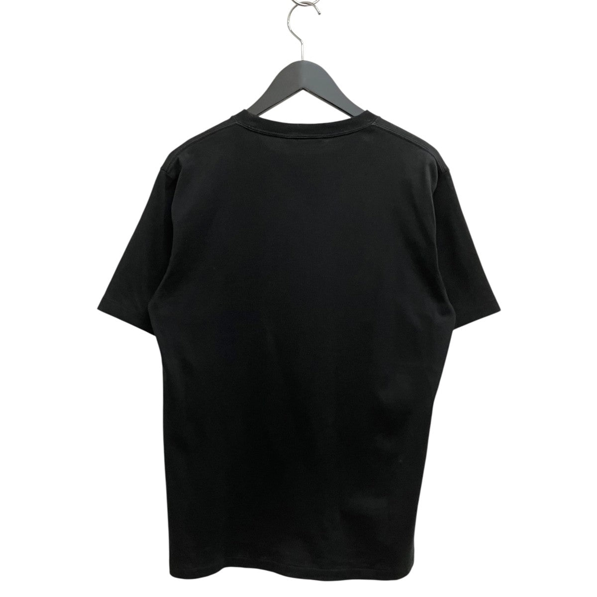 20SSLUSTER PLAITING TEE半袖TシャツA00SP02GT