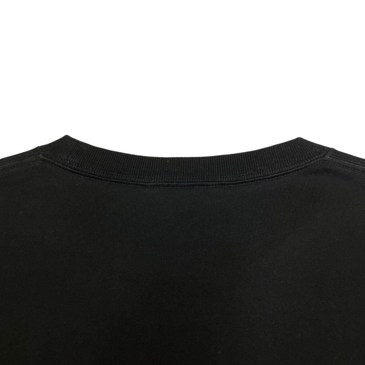 20SSLUSTER PLAITING TEE半袖TシャツA00SP02GT