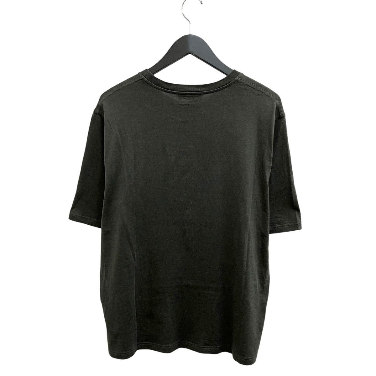 ズアブとドラゴン半袖Tシャツ