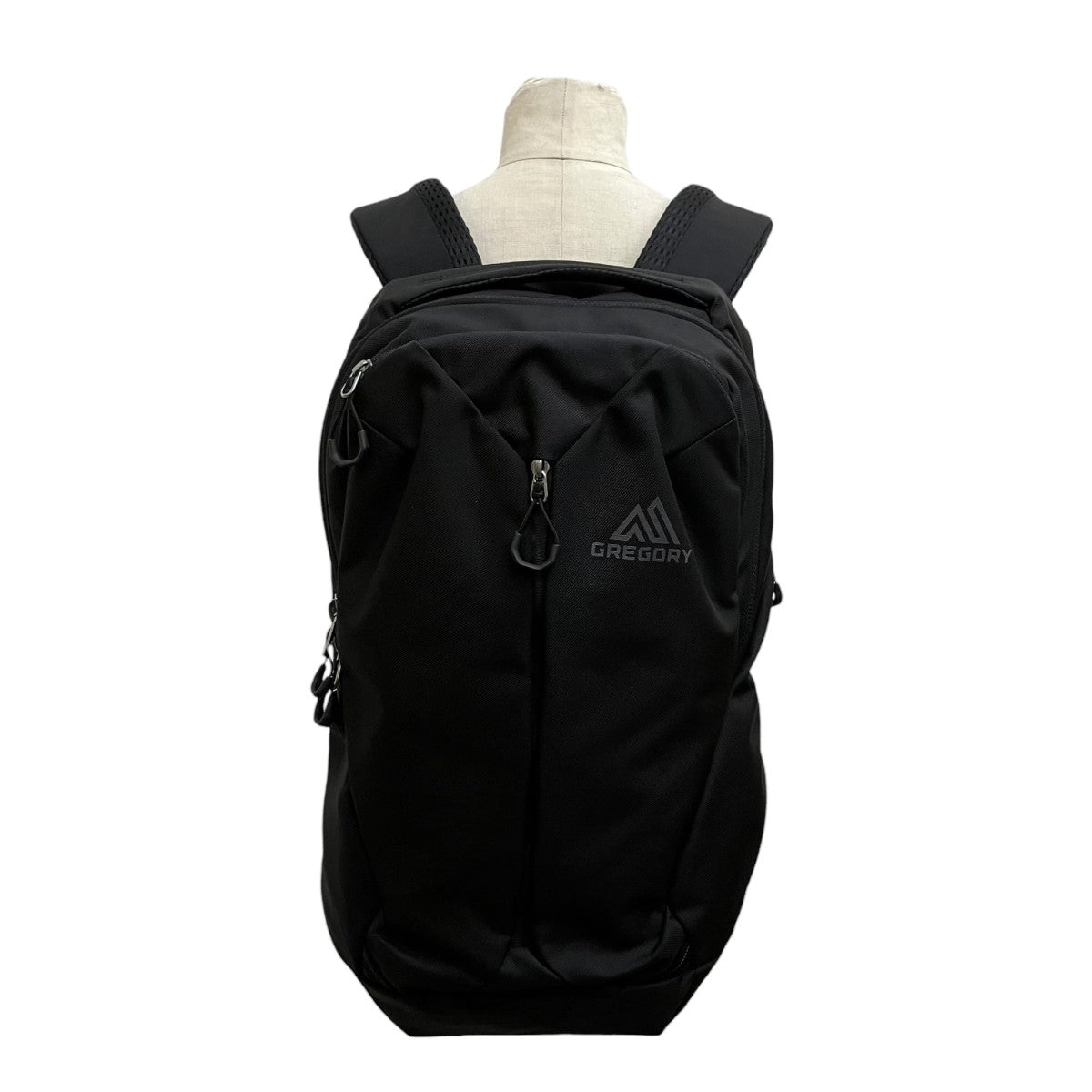 GREGORY RHUNE 20Lリュック 古着・中古-6枚目のアイテム画像