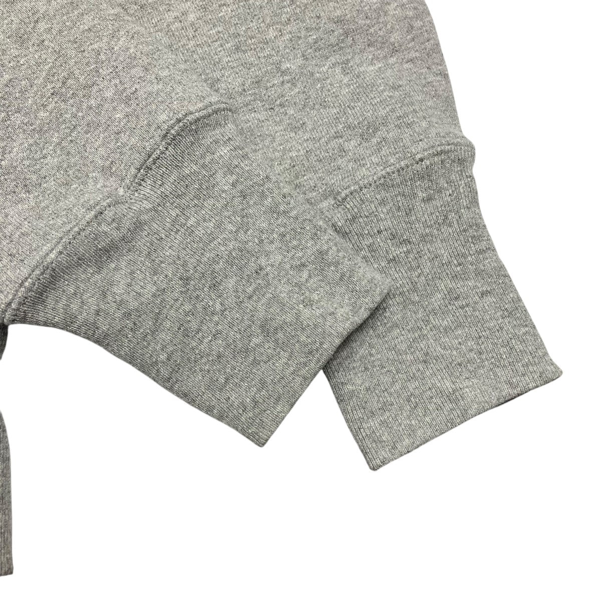 Champion(チャンピオン) Reverse weave zip up parkaパーカーC5