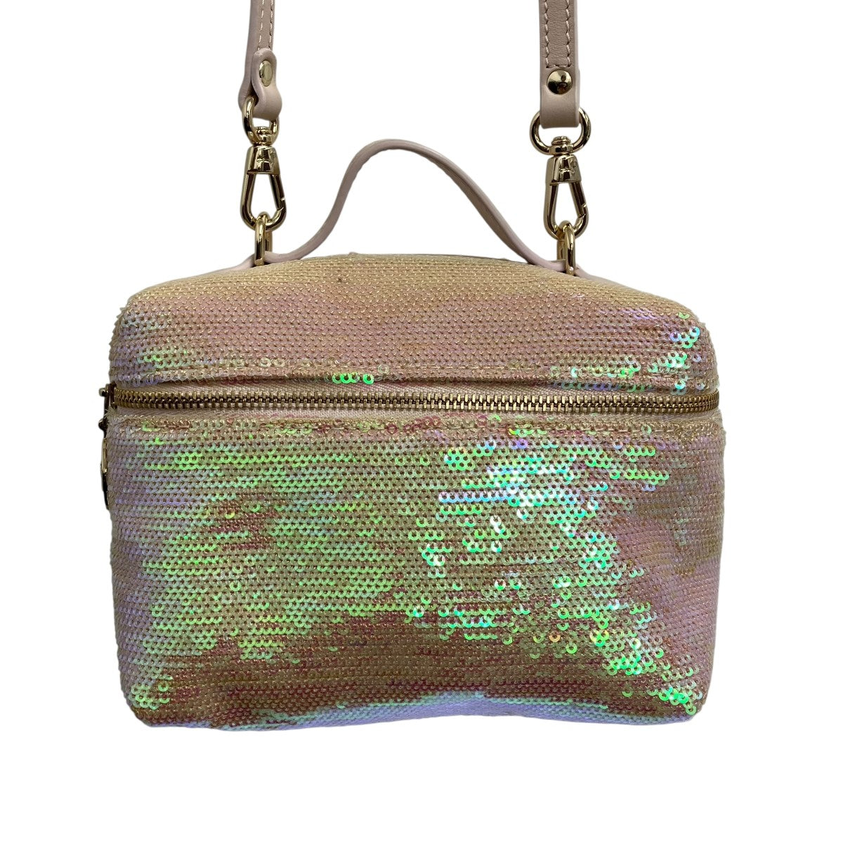 25AW24-Le Pliage Vanity XSショルダーポーチ2279014