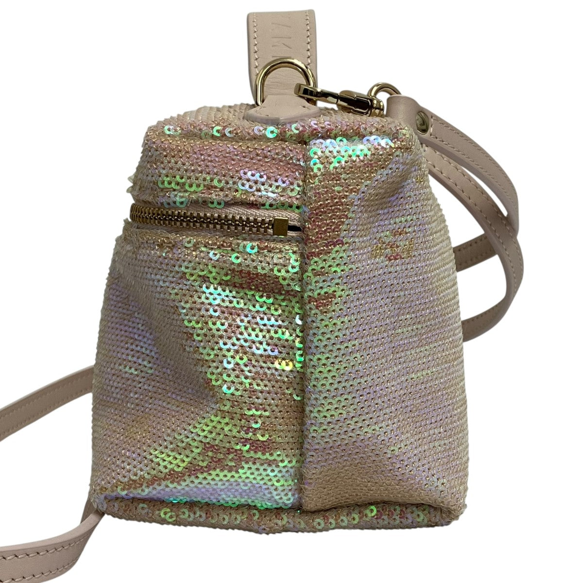 25AW24-Le Pliage Vanity XSショルダーポーチ2279014