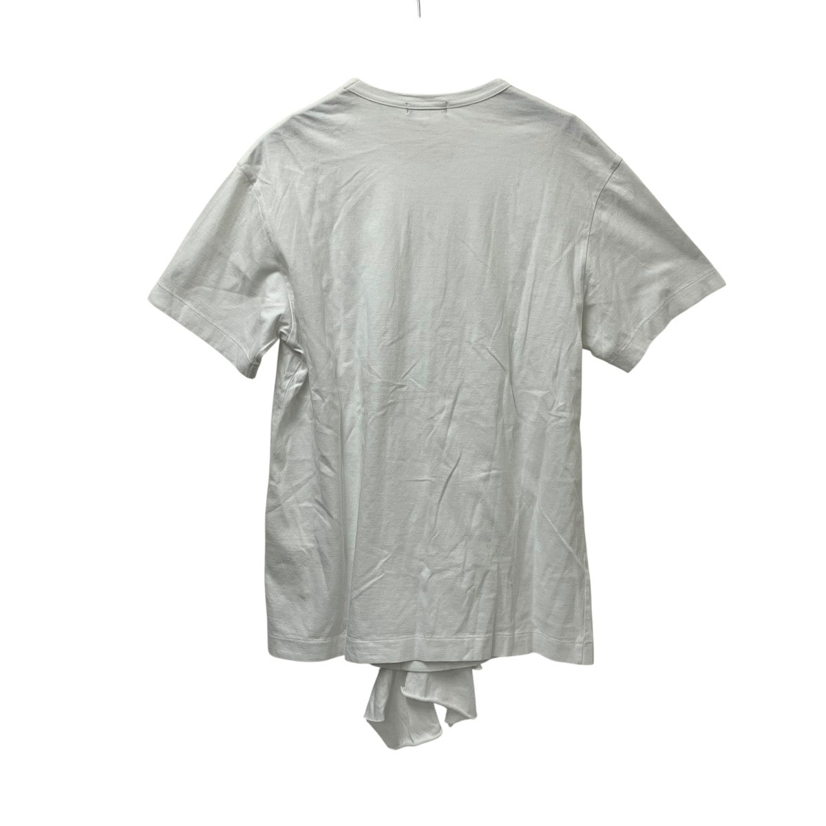 COMME des GARCONS HOMME PLUS フリルTシャツPE-T017 古着・中古-2枚目のアイテム画像