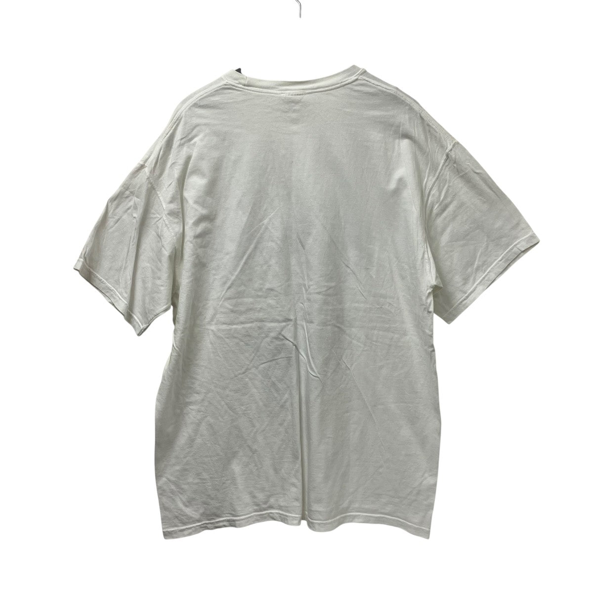 Comfort Colors アインシュタインTシャツ 古着・中古-2枚目のアイテム画像