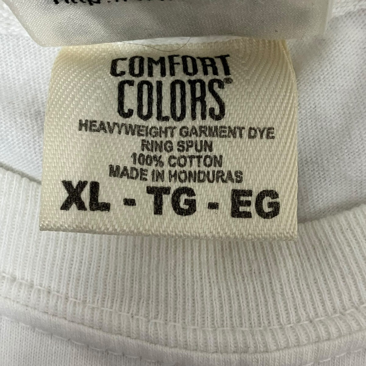 Comfort Colors アインシュタインTシャツ 古着・中古-6枚目のアイテム画像