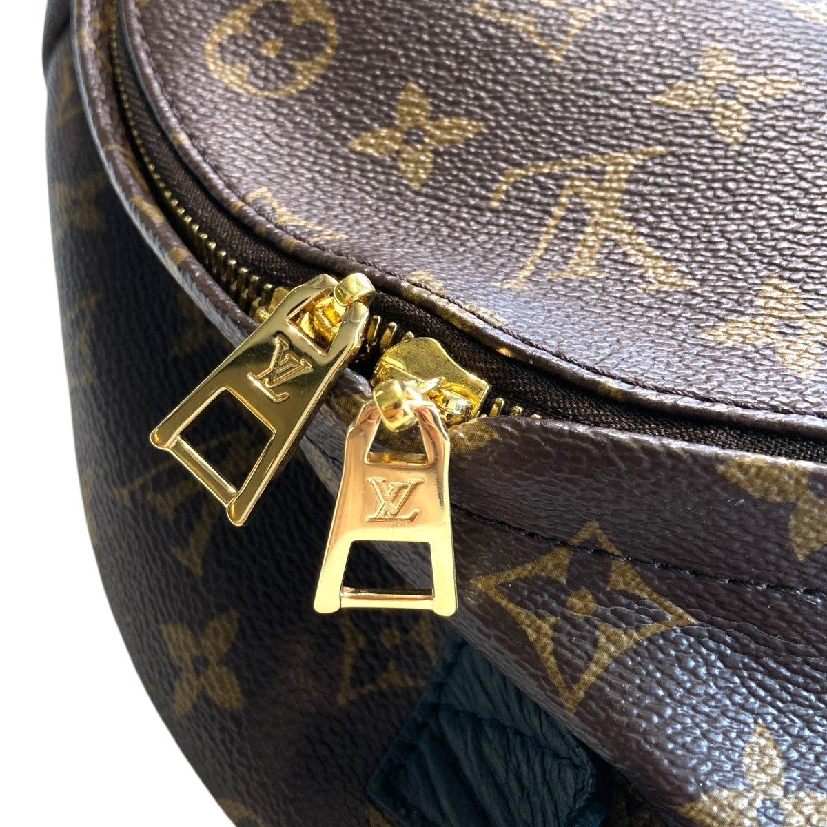 パームスプリングスバックパック PM リュックサックM48871