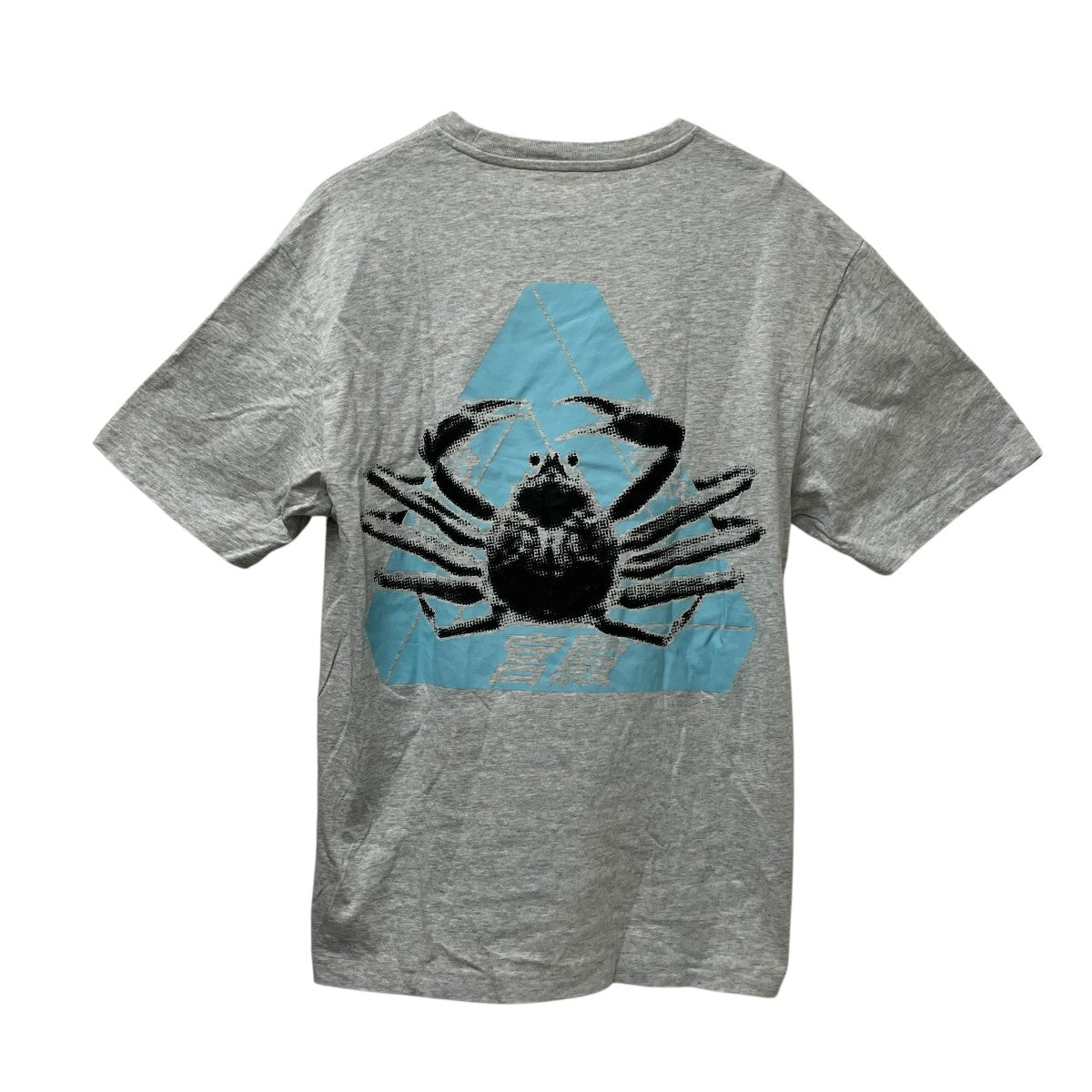 PALACE Tシャツ 古着・中古-2枚目のアイテム画像