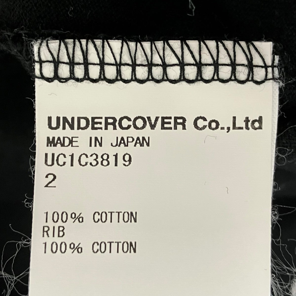 TシャツUC1C3819