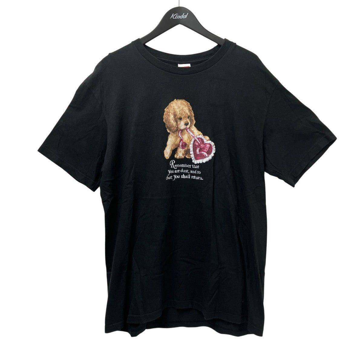 25AWDust TeeTシャツ