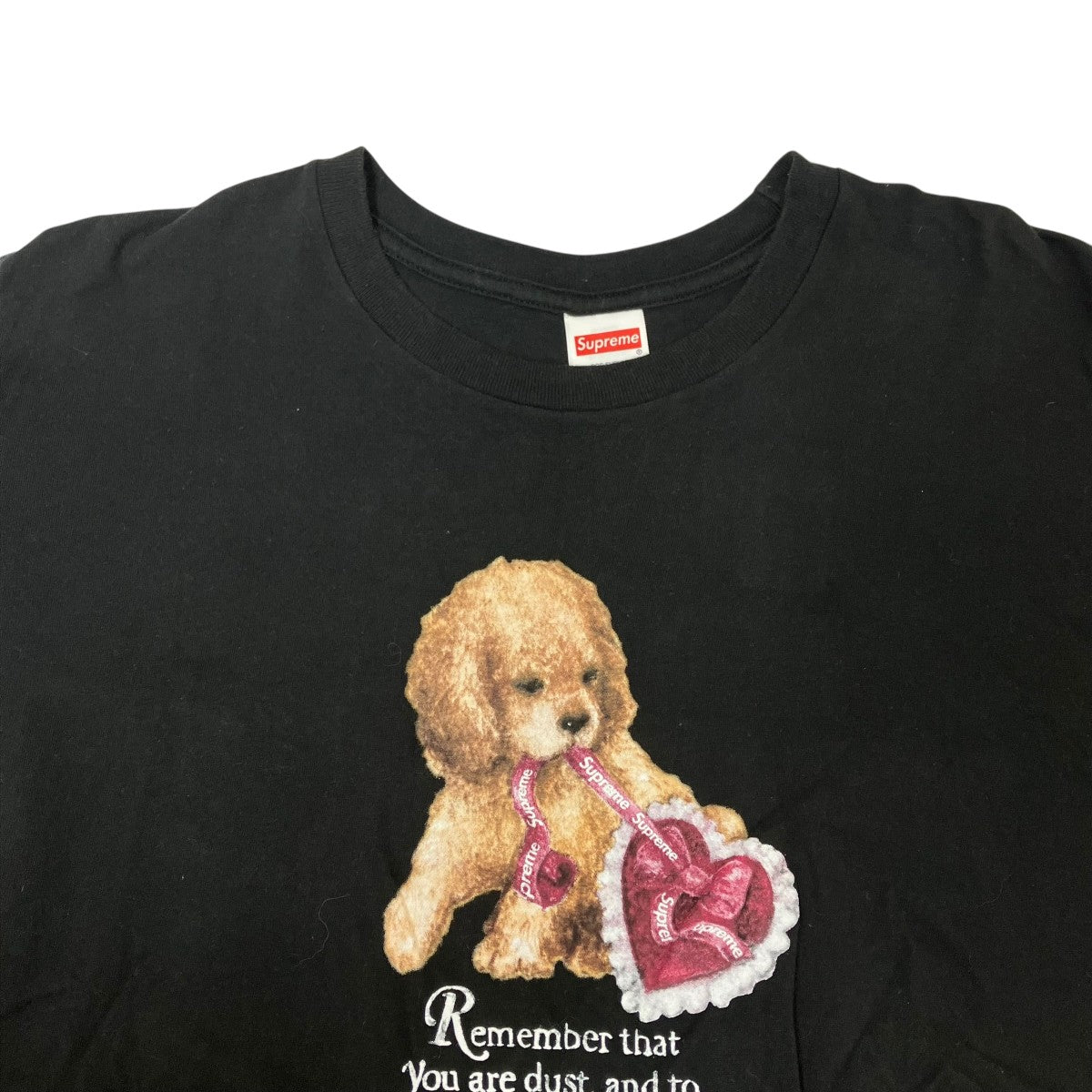 25AWDust TeeTシャツ