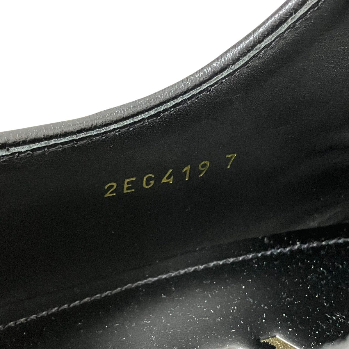 Diapason opaque brushedレザーシューズ2EG419