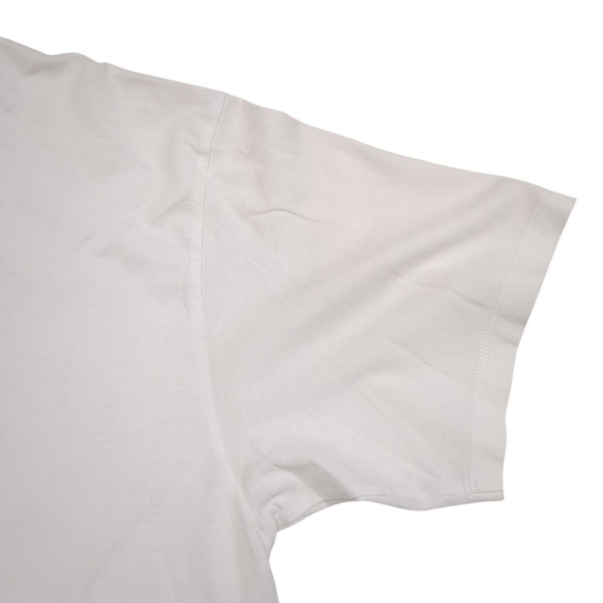Tシャツ2X687501F