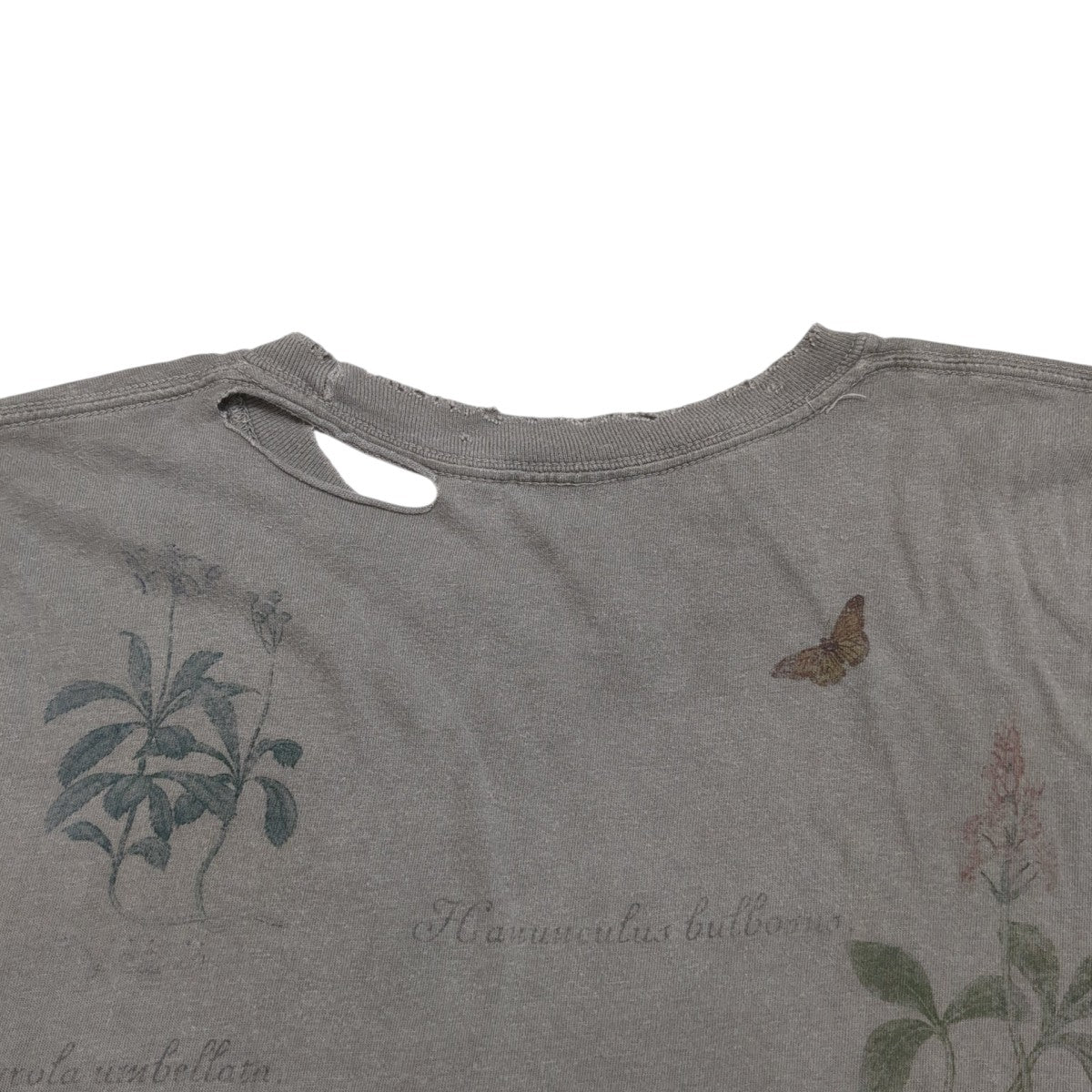 24SSBOTANICAL T-SHIRTTシャツ