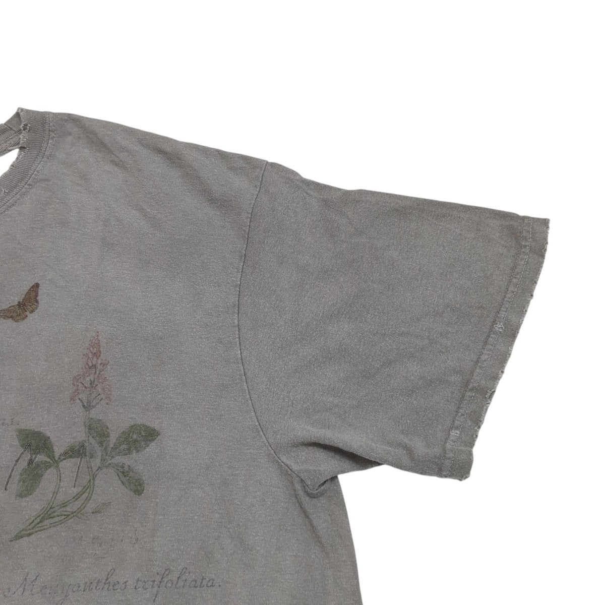 24SSBOTANICAL T-SHIRTTシャツ