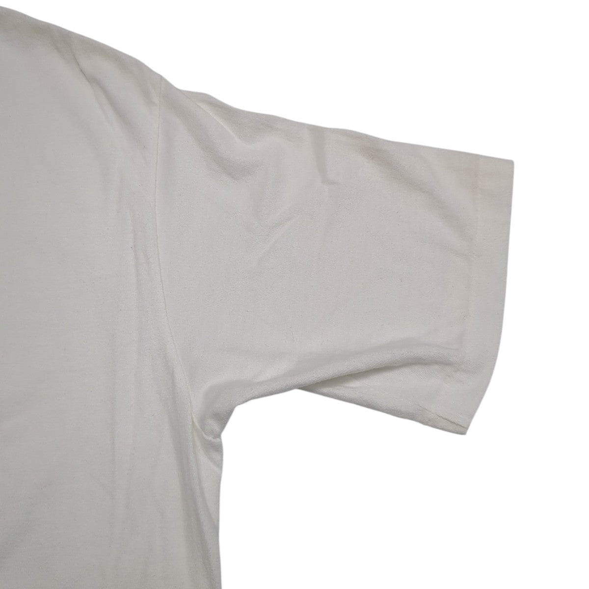 BRUSHED ORGANIC COTTON JERSEY TEETシャツA26ST02PT