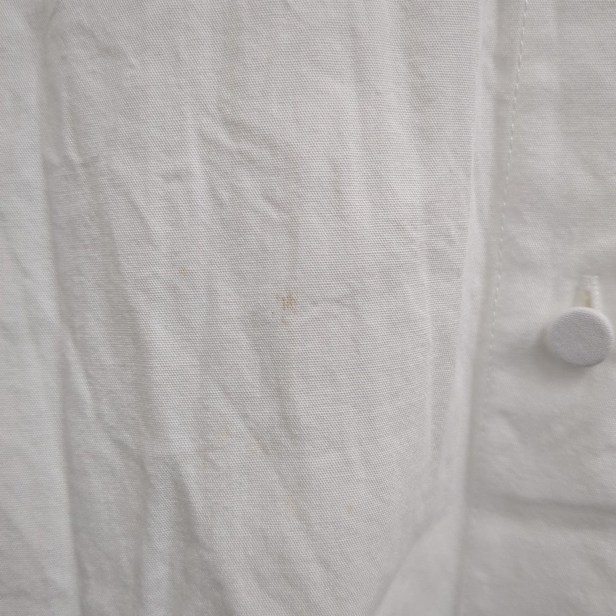 コットンレースカラーブラウス“LACECOLLARBLOUSE”25amsbl02ブラウス25AMSBL02