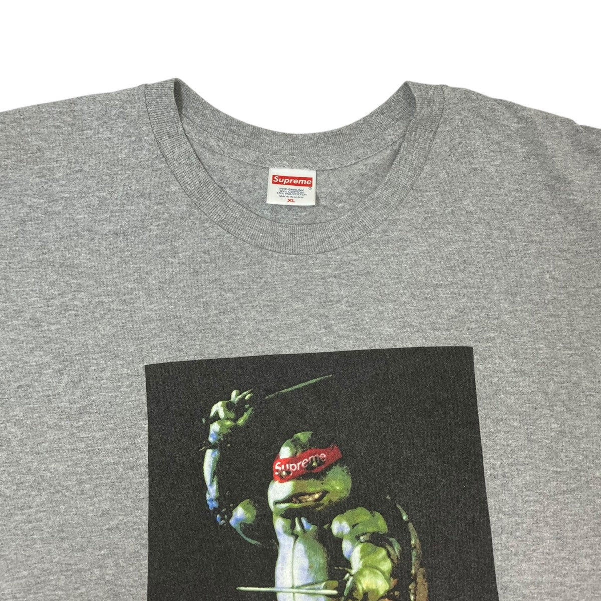 Raphael TeeTシャツ