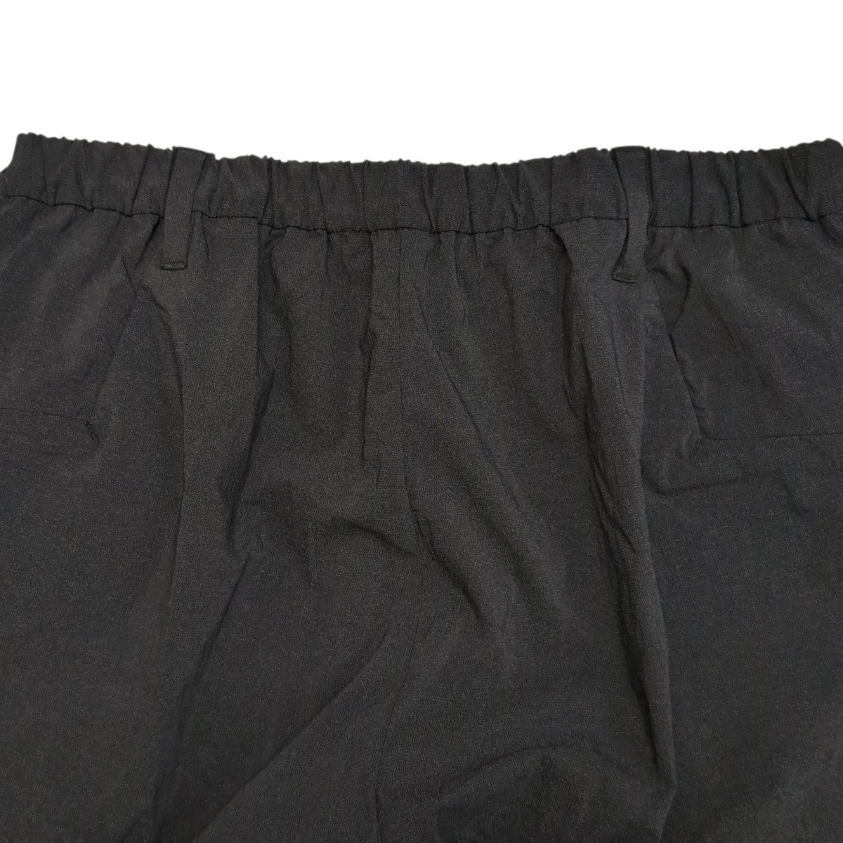 TEATORA WALLET PANTS HOTEL PACKABLE HORIZONナイロンパンツtt-004H-PH 古着・中古-4枚目のアイテム画像