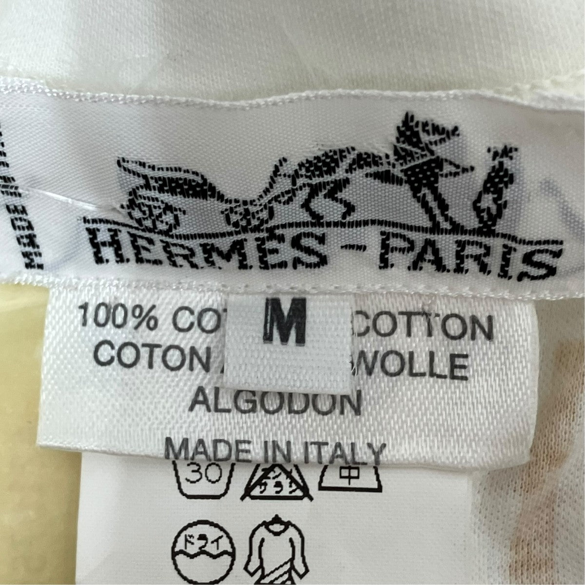 Tシャツ