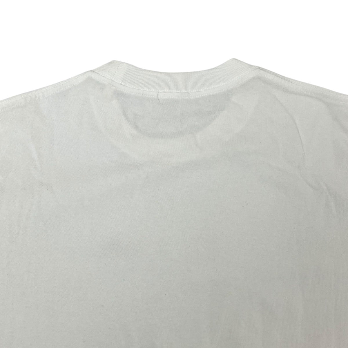 コットンジャージ 長袖Tシャツ長袖TシャツC03-05004
