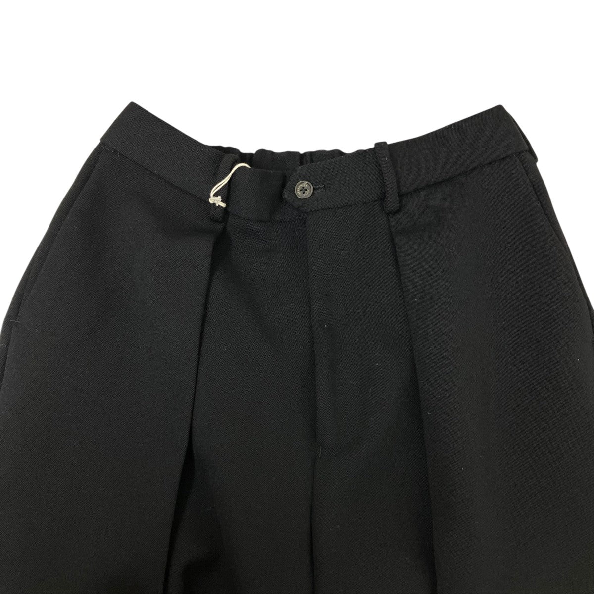 PLEATED WIDE TROUSERS ORGANIC WOOL TAXEED CLOTHウールスラックスA22C-11PT01C