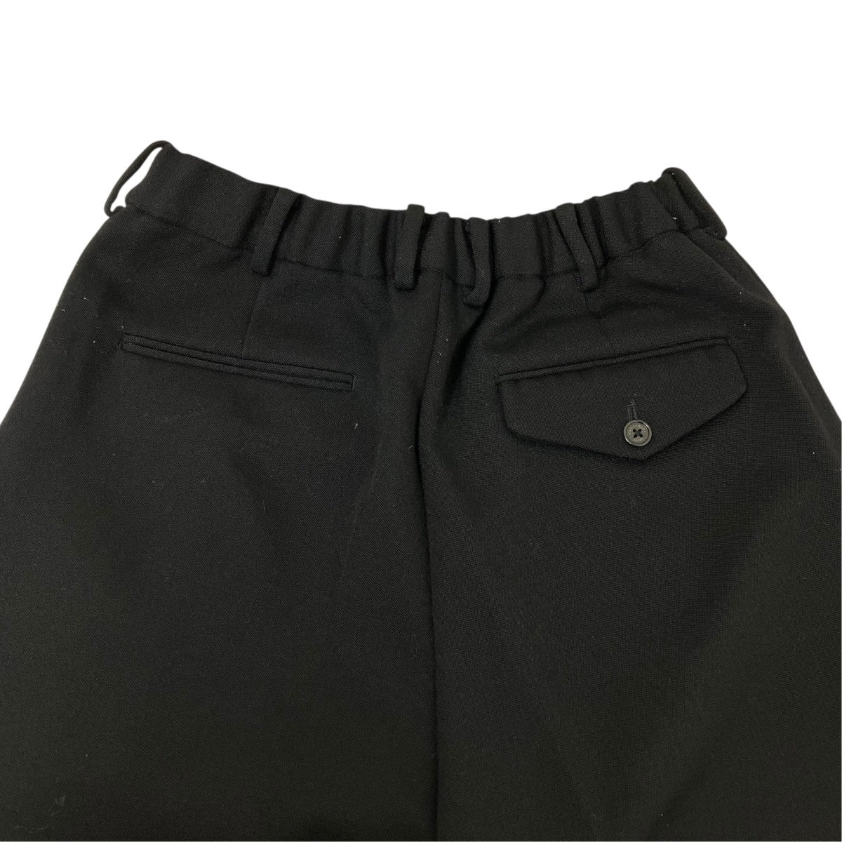 PLEATED WIDE TROUSERS ORGANIC WOOL TAXEED CLOTHウールスラックスA22C-11PT01C