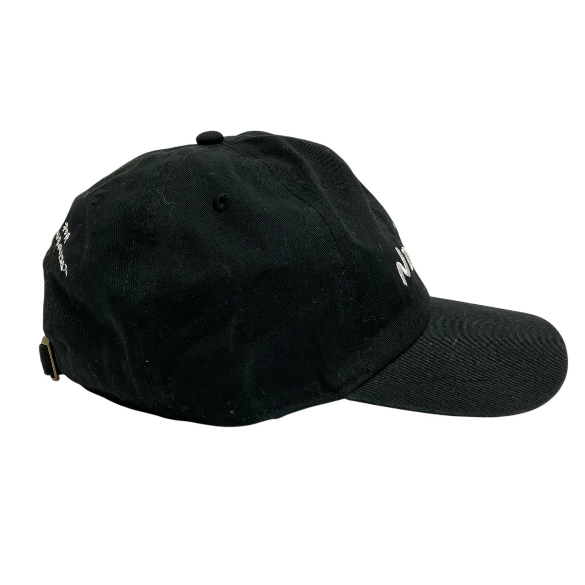 Do Nothing Congress キャップ 古着・中古-5枚目のアイテム画像