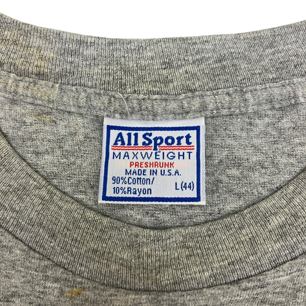 ALL SPORT Dave Matthews Band 90's Vintage半袖Tシャツ グレー