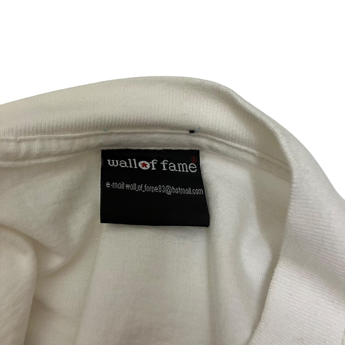 ウォールオブフェイムのLIMP BISKIT ロングスリーブTシャツです。 wall of fame トップス 古着・中古アイテム