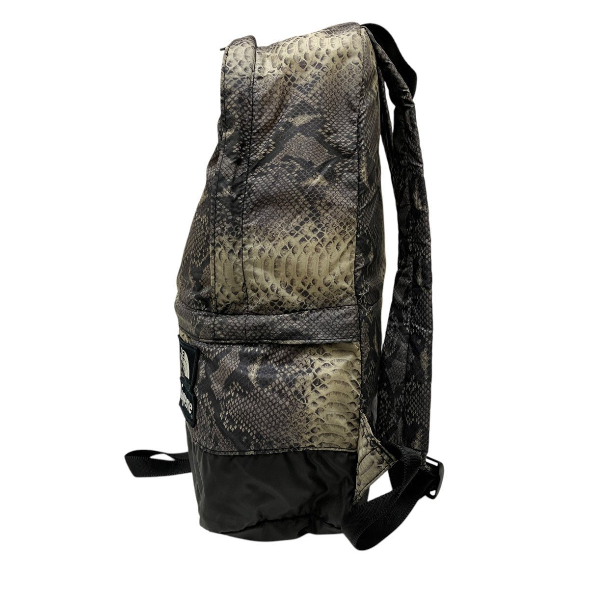 Supreme/The North Face Summit Series Outer Tape Seam Route