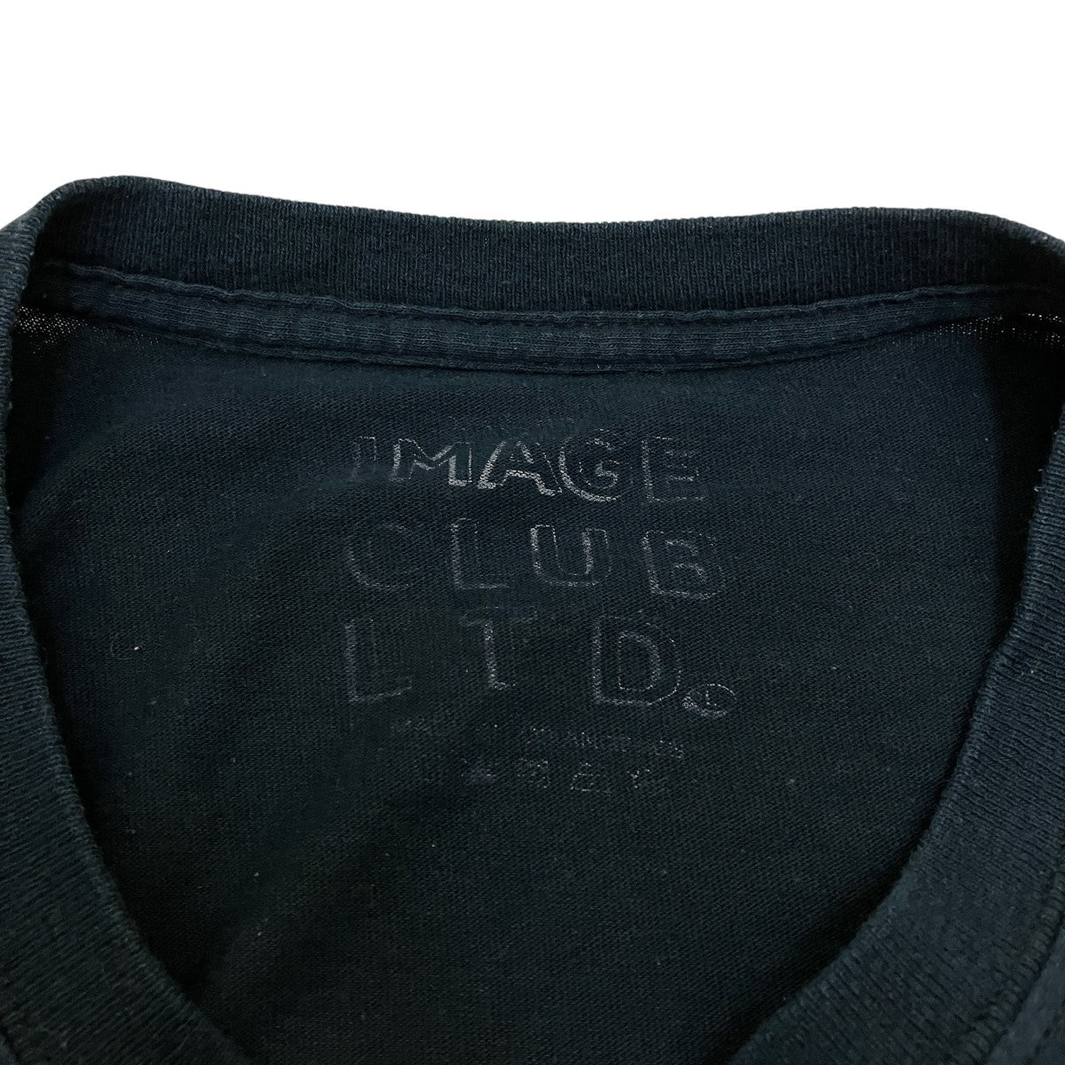 ICE CUBEプリントTシャツ